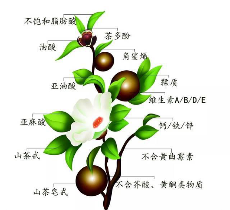 【热销中】云南省梁河古韵南甸山茶油5L壶装。