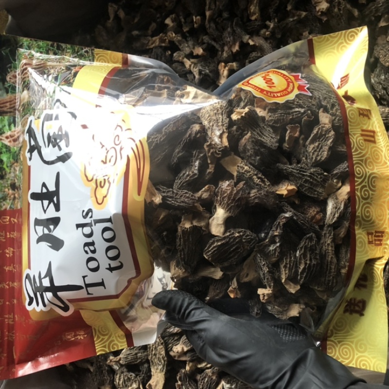 短柄羊肚菌肉厚特价羊肚菌235/斤圆通包邮当天发货