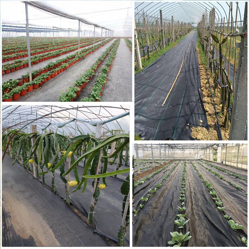 防草布除草布农用果树果园大棚可抗老化耐用渗水保湿黑色地膜