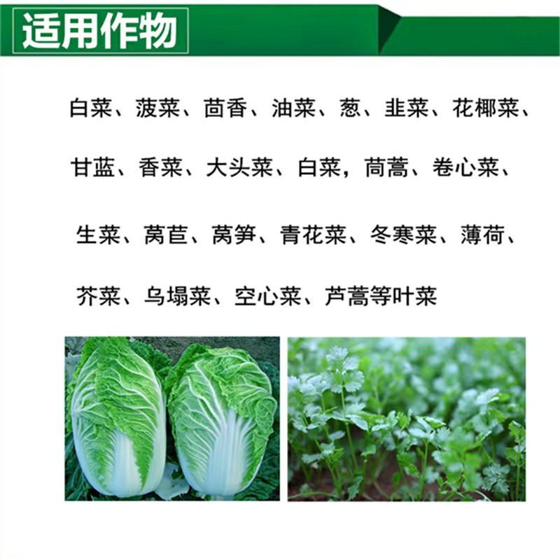 叶菜提苗速长促长韭菜芹菜葱蒜白菜早喷早绿茎杆粗壮薄叶变厚