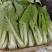 奶白菜