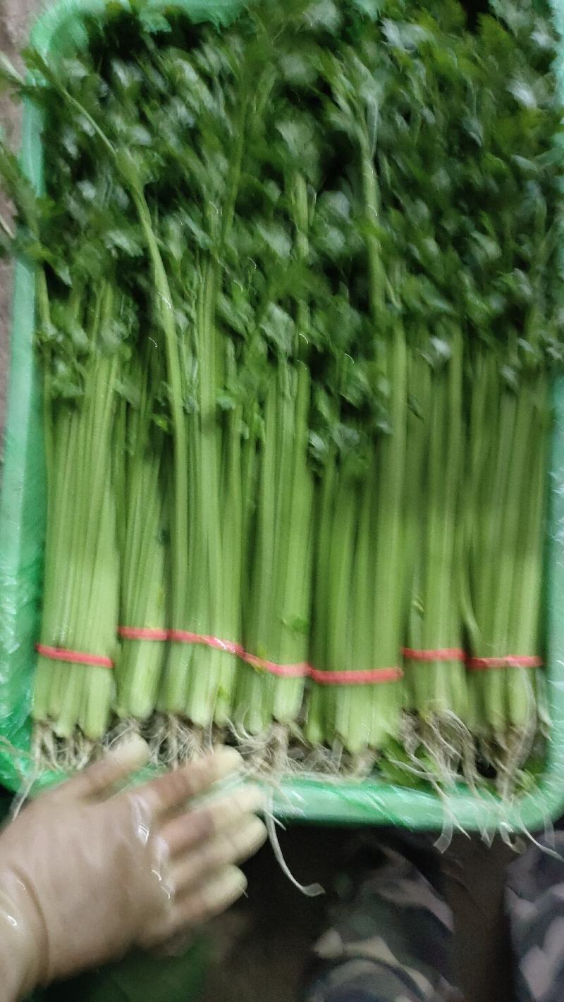 芹菜