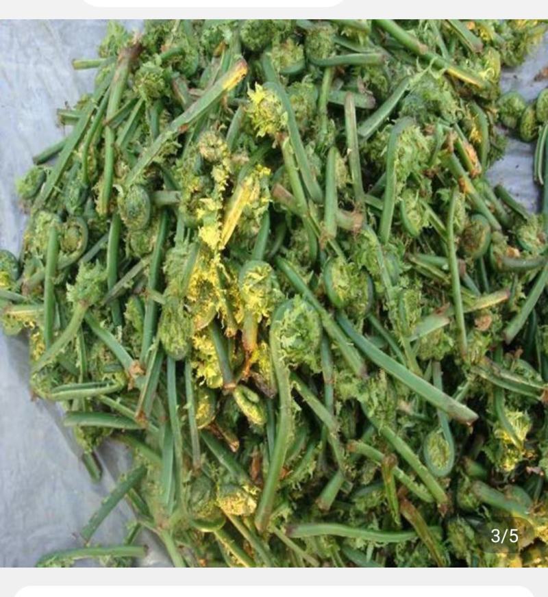 东北山野菜