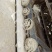 2019沃得收割机尊享版玉柴发动机110马力需要的私聊