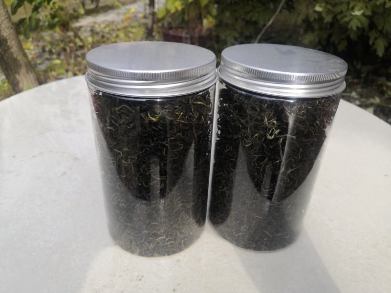沙棘红茶甘肃西北高原老品种小果能量茶嫩叶精制红茶包邮到家