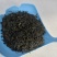 沙棘红茶甘肃西北高原老品种小果能量茶嫩叶精制红茶包邮到家