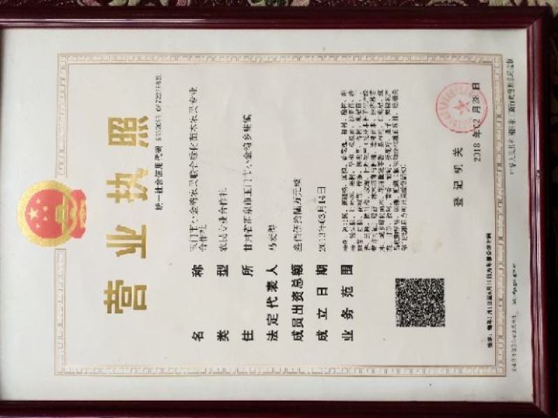沙枣种子沙枣苗子沙枣种抗旱固沙植物种子绿植