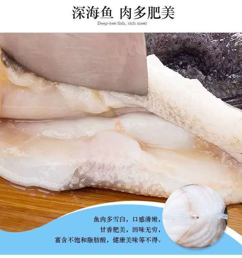 海参斑鱼海鲜批发深海无污染肉质像海参一样香醇的海参斑鱼