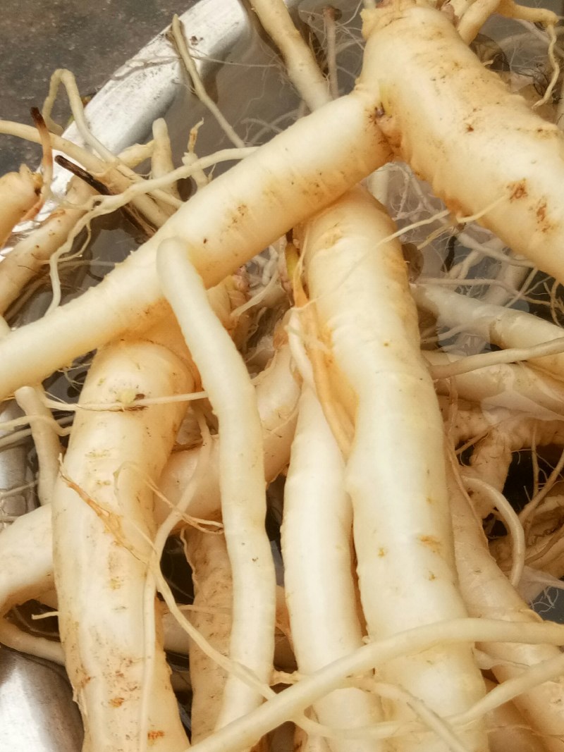 野生药材