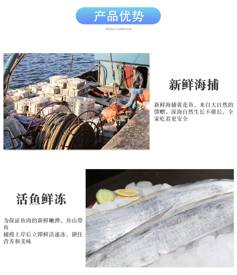 新鲜带鱼大段舟山带鱼大段5斤新鲜带鱼中段多省包邮免运费