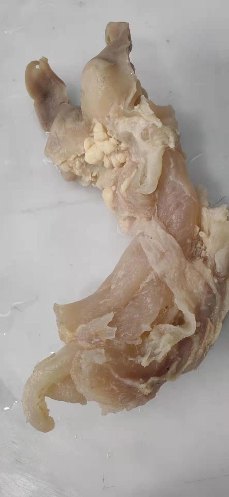 熟牛蹄筋主筋副筋