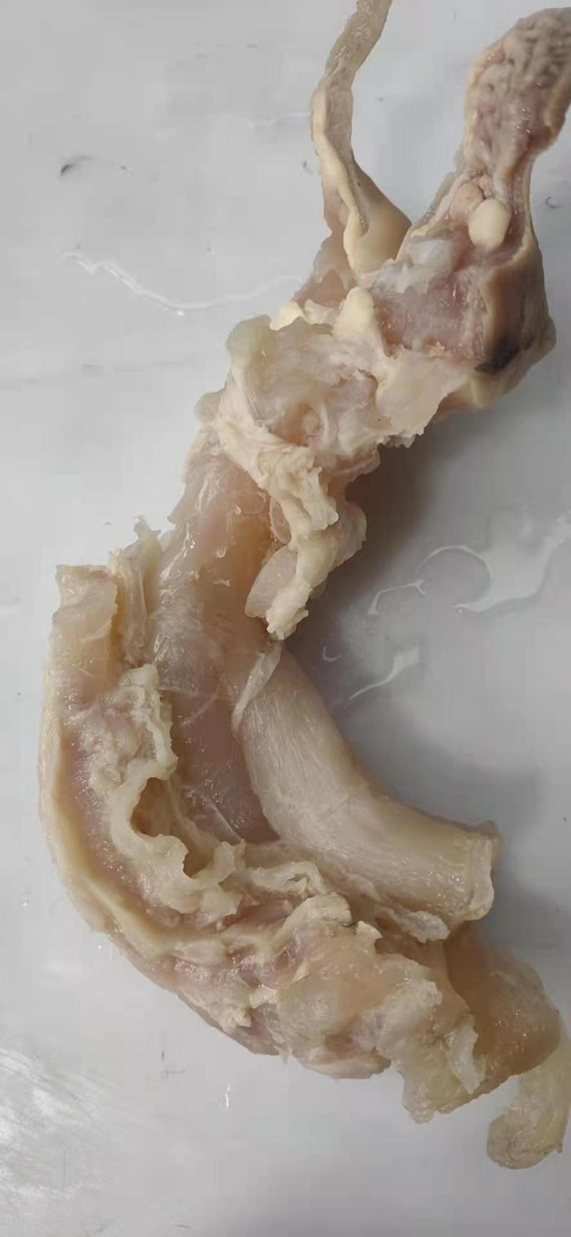 熟牛蹄筋主筋副筋