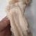 熟牛蹄筋主筋副筋