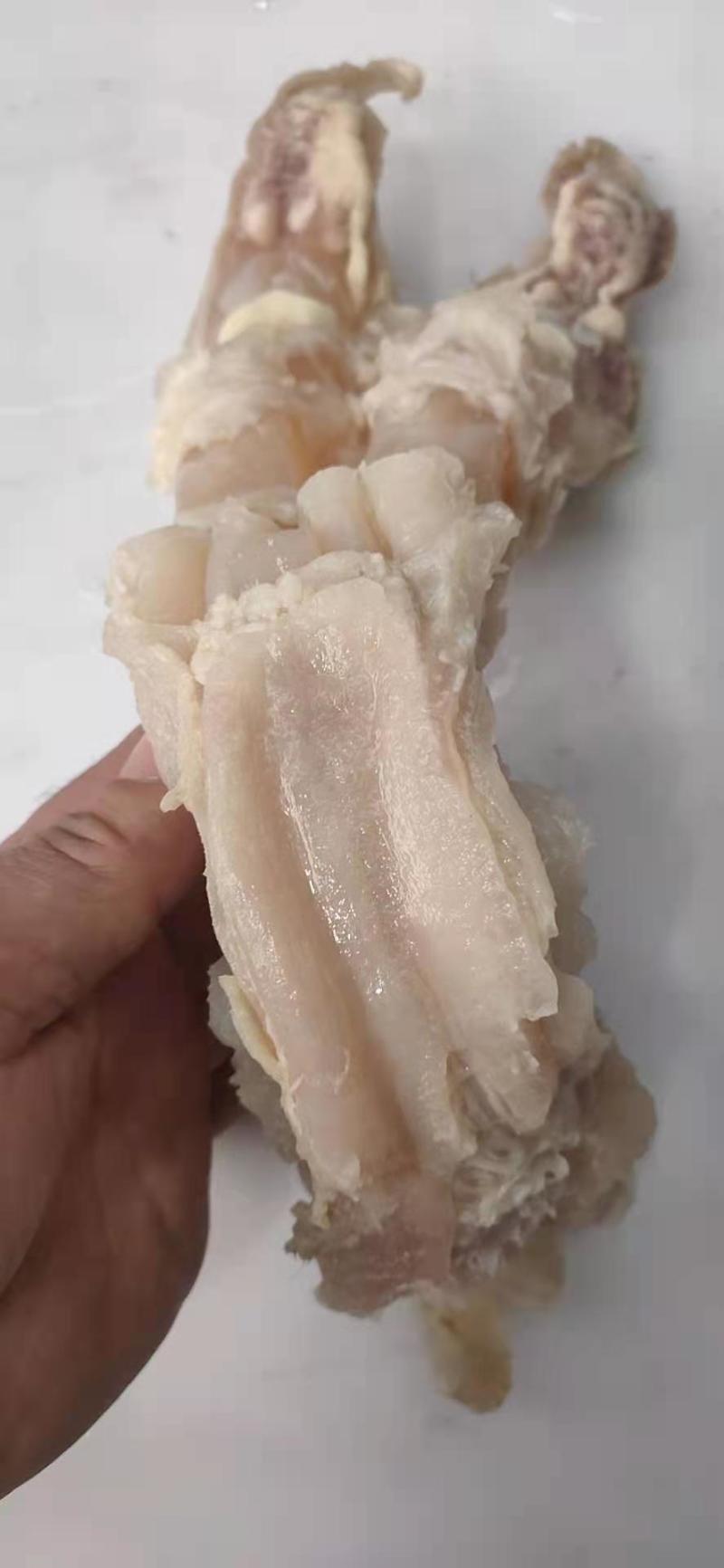 熟牛蹄筋主筋副筋