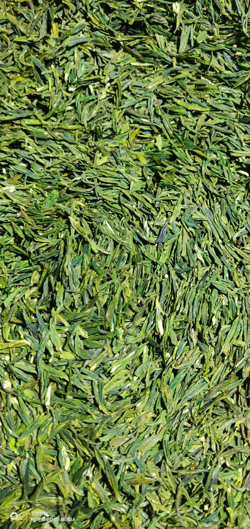 湖北省大悟县（将军县）绿茶