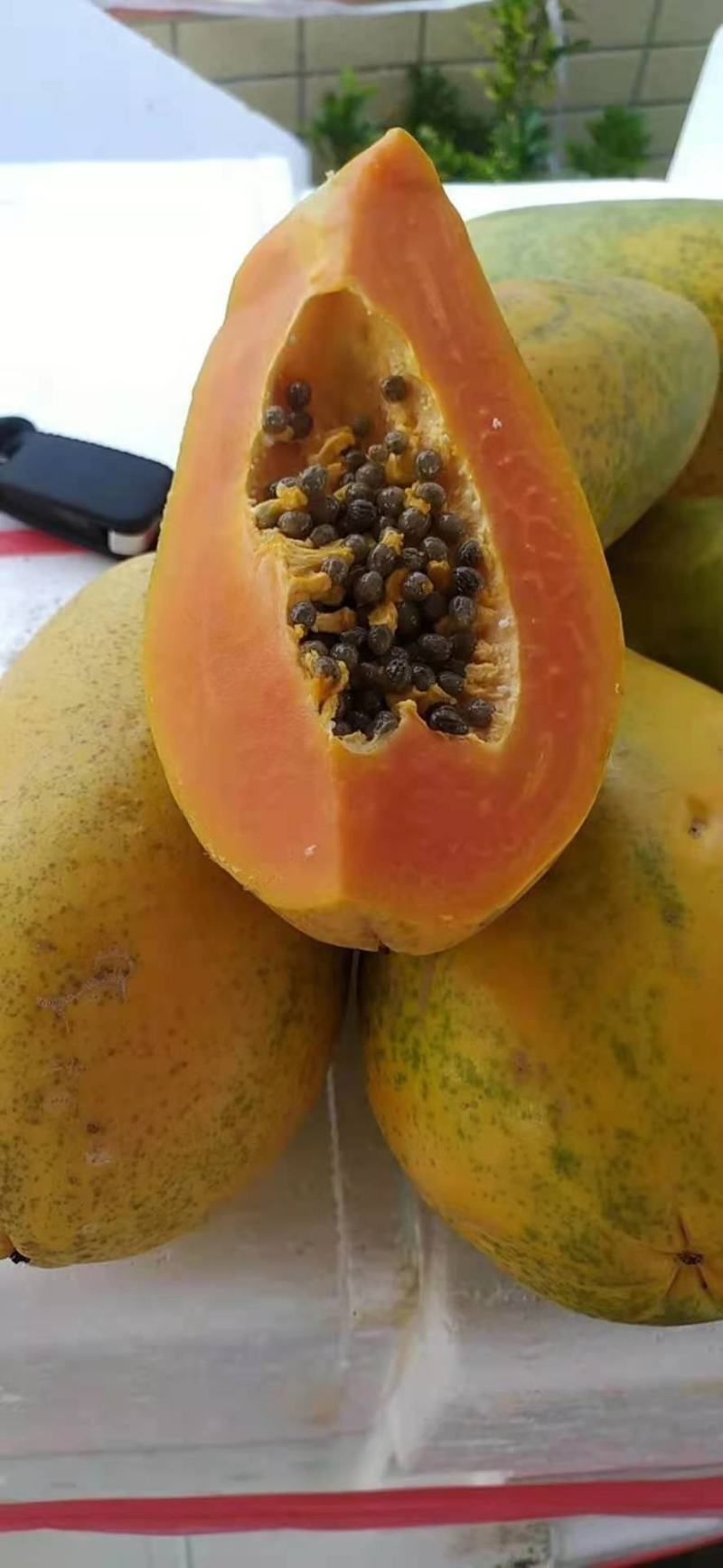 红心，木中白，产地直销，青皮，欢迎老板来电，，，，