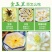欧洲黄菊苣菜新鲜金玉兰玉兰菜基地供冰库种植长年有货