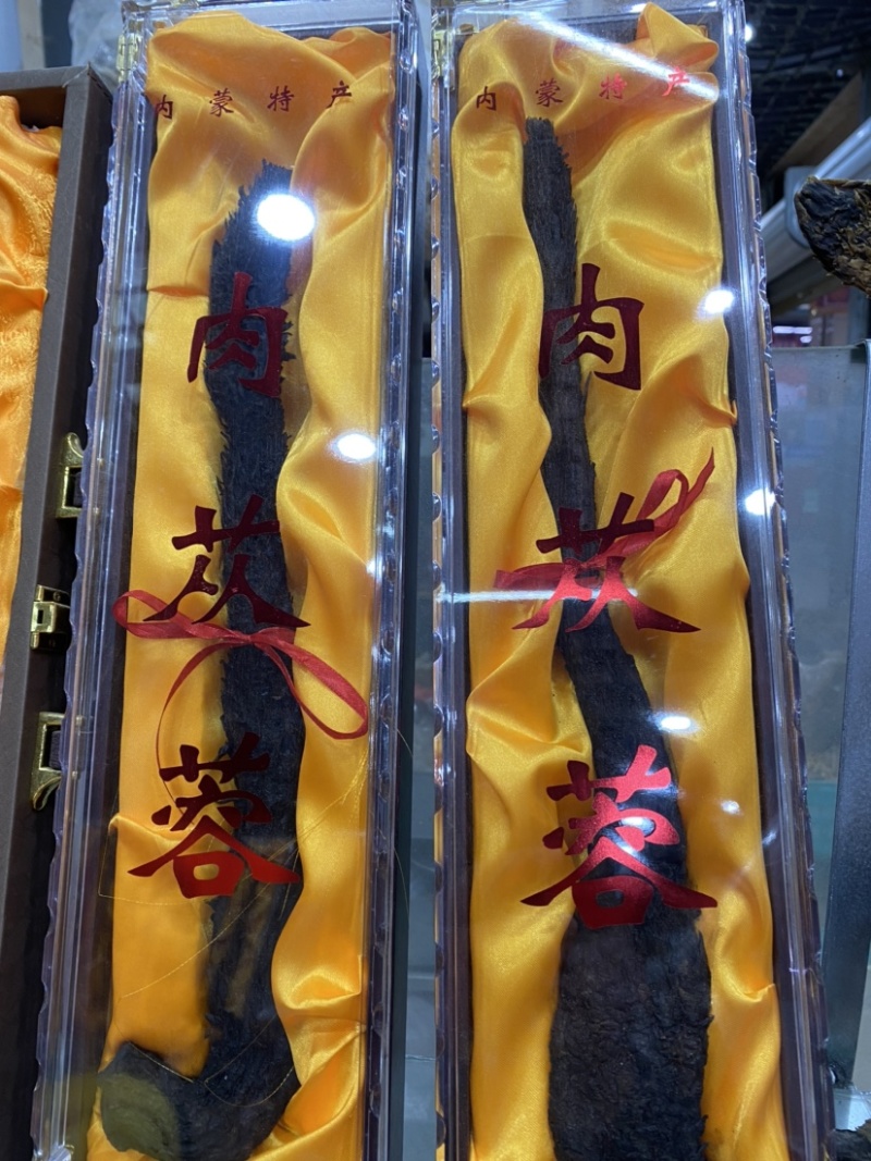 肉苁蓉大货各种规格齐全欢迎您的选购与支持