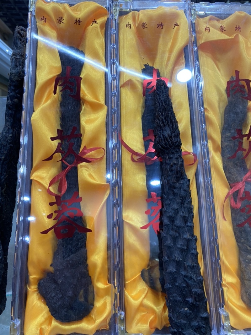 肉苁蓉大货各种规格齐全欢迎您的选购与支持