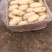 荷兰十五土豆