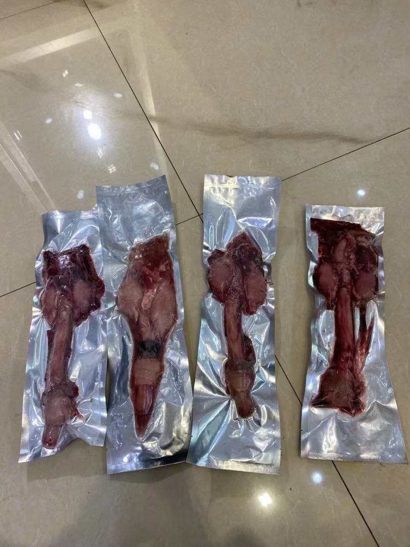 老御头正宗鲜梅花鹿鞭单支400克左右整支成年大鹿鞭直批