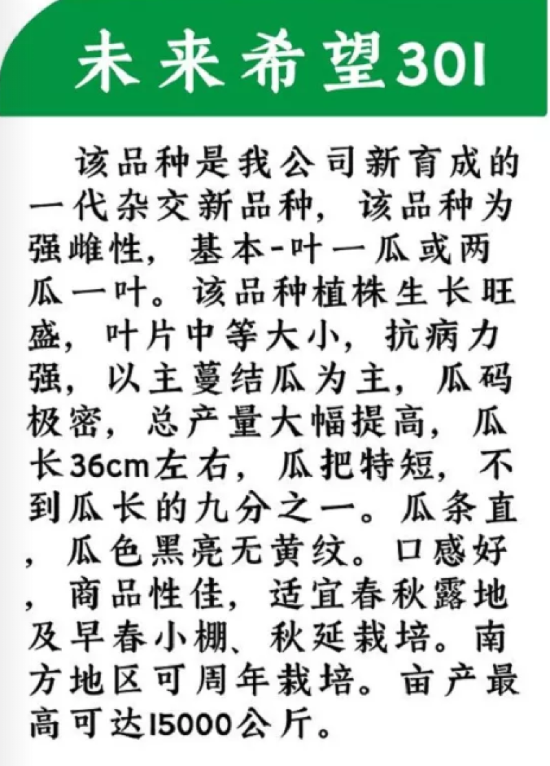 强雌深绿油亮黄瓜未来30120克/袋，40元