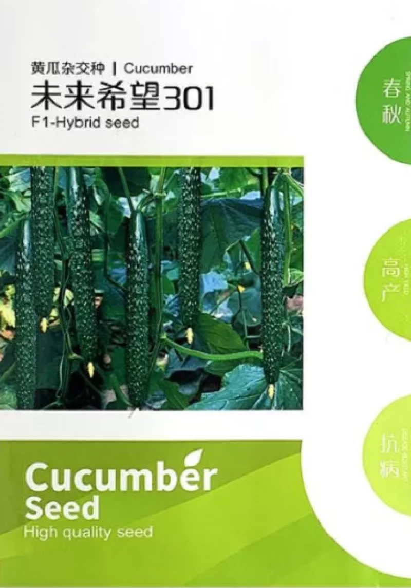 强雌深绿油亮黄瓜未来30120克/袋，40元