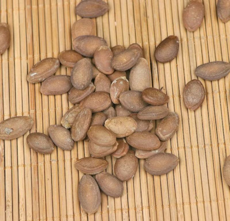 批发零售瓜蒌子瓜蒌仁量大从优农产品支持一件代发