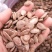 批发零售瓜蒌子瓜蒌仁量大从优农产品支持一件代发
