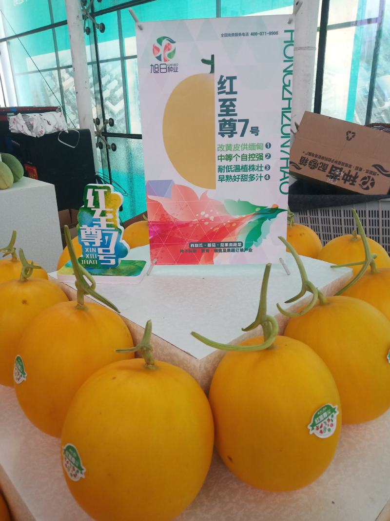 久红瑞《瑞红》，精品瑞红，皮毛光滑，口感好