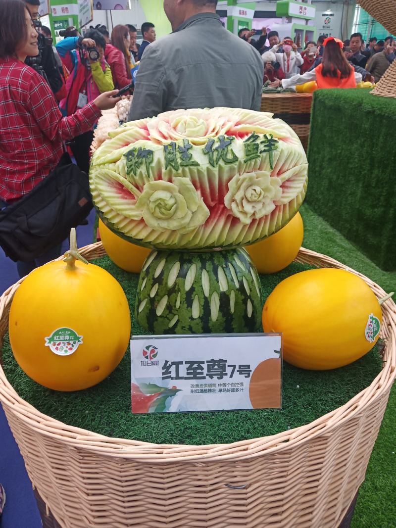 久红瑞《瑞红》，精品瑞红，皮毛光滑，口感好
