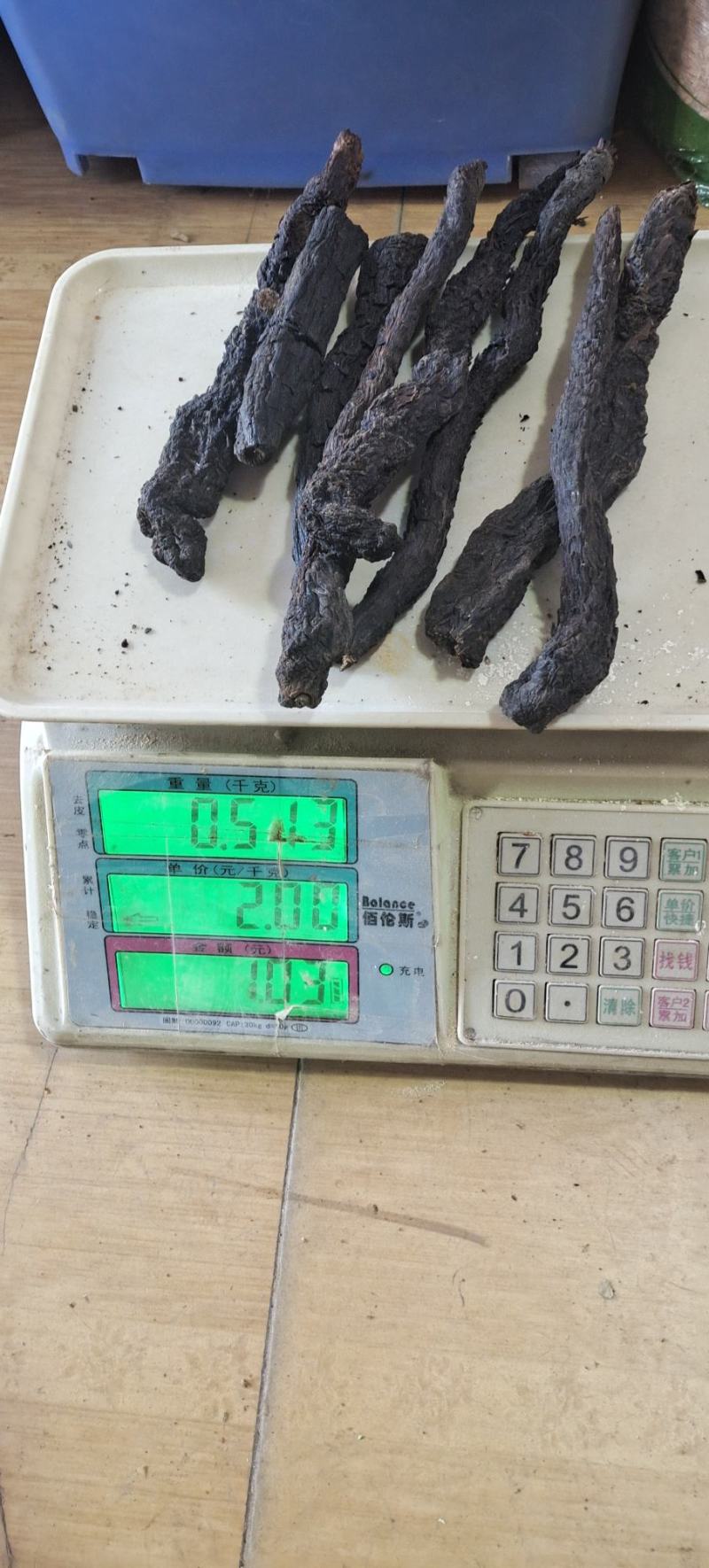 长白山脚下，肉苁蓉泡酒特别好精品现货