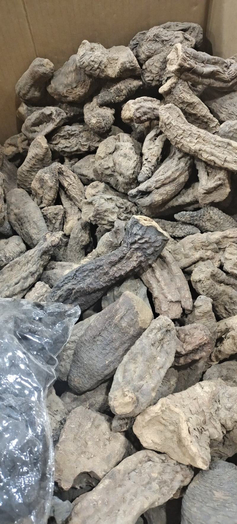 长白山脚下，肉苁蓉泡酒特别好精品现货