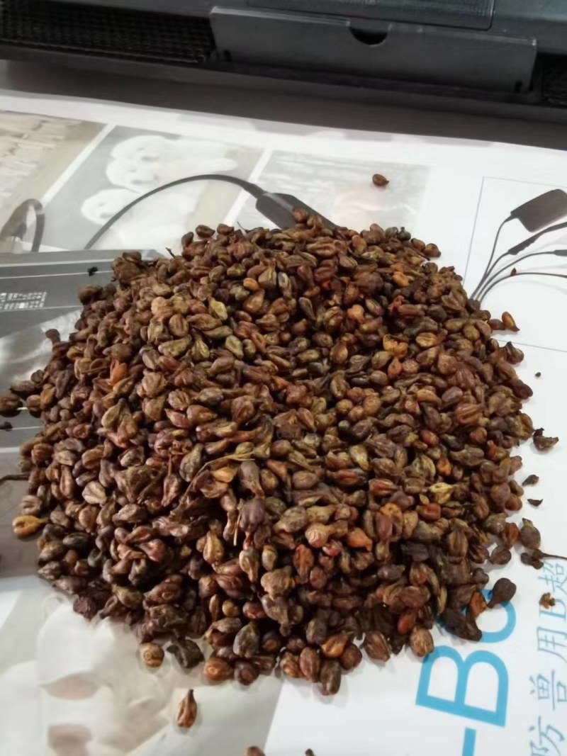 葡萄籽，鸡鸭鹅好料，牛羊育肥效果很好！