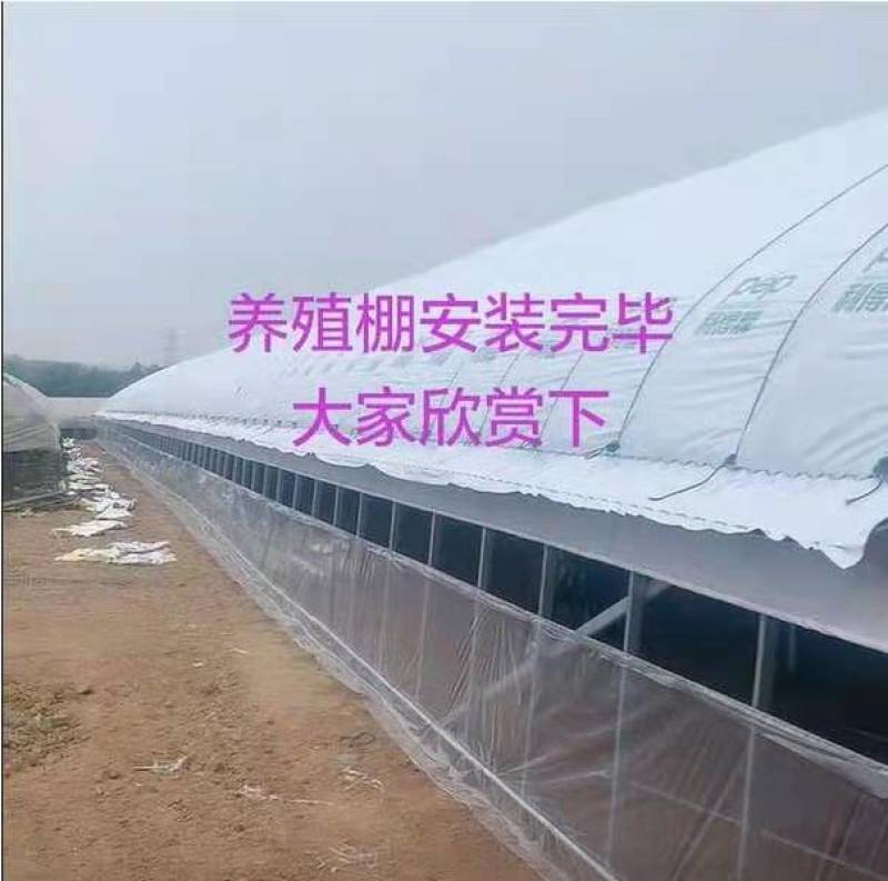 大棚黑白膜.绿白膜，进口，国产黑白膜.质量保证，量大从优