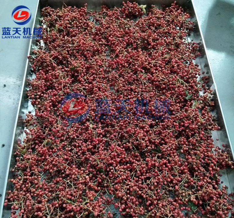 花椒烘干机莴笋烘干机红白萝卜烘干机蒜片姜片烘干设备