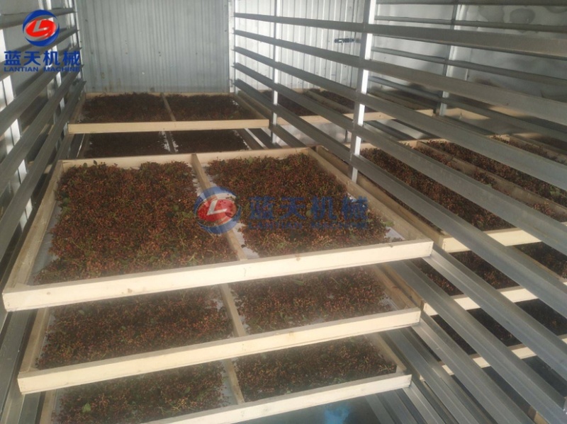 花椒烘干机莴笋烘干机红白萝卜烘干机蒜片姜片烘干设备