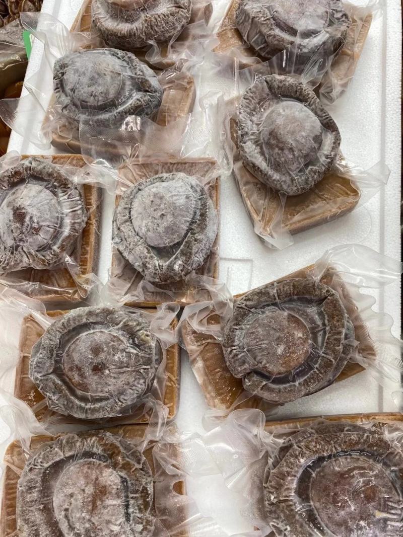 即食产品鲍鱼辽参鱼翅