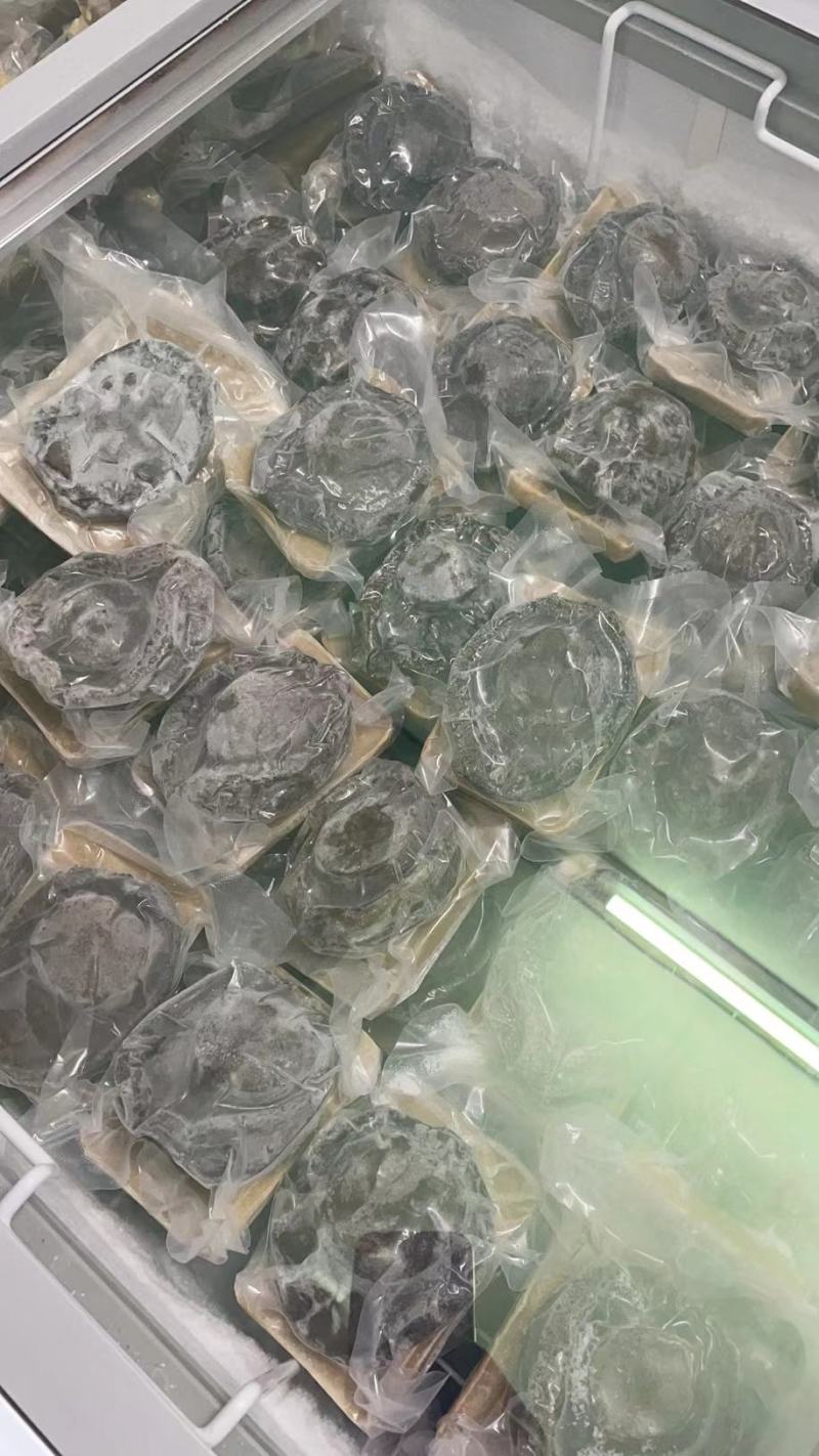 即食产品鲍鱼辽参鱼翅