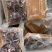 即食产品鲍鱼辽参鱼翅