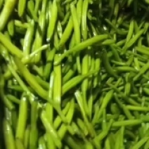 特菜专卖
