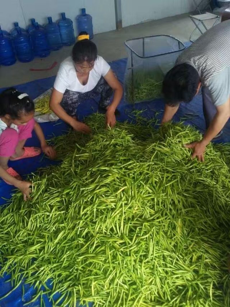 特菜专卖