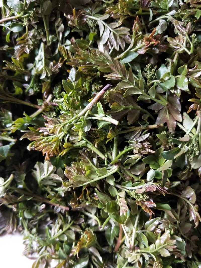 特菜专卖