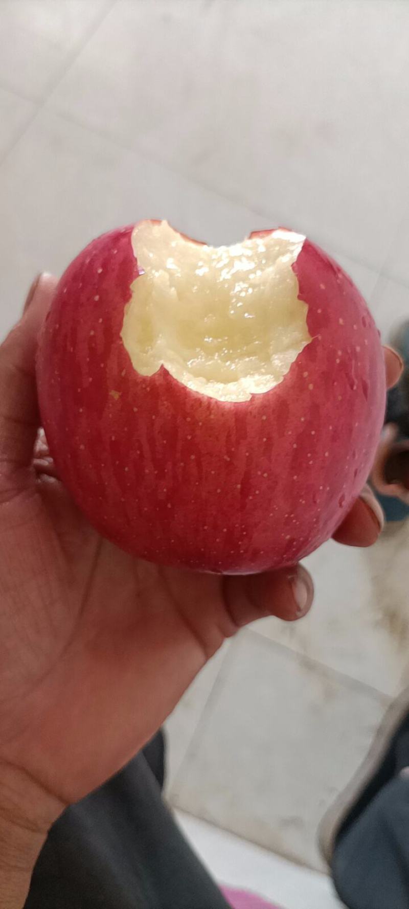 甘肃庆阳高寒水晶晚熟红富士