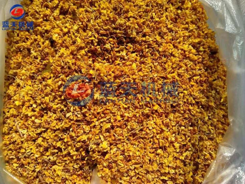 桂花烘干机葡萄烘干机草莓切片烘干机红枣去核烘干机