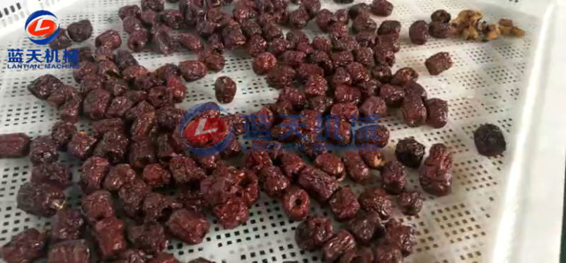 桂花烘干机葡萄烘干机草莓切片烘干机红枣去核烘干机