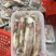 钓鱿鱼活冻鱿鱼北部湾船捕鱿鱼生冻鱿鱼，小管，