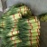 大型基地供应优质蒜薹