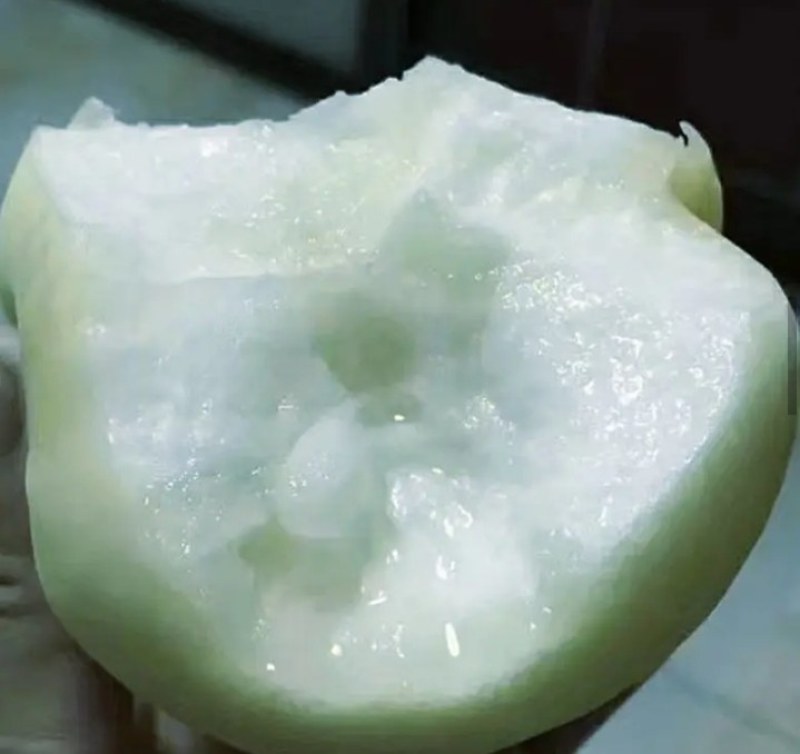 【正品】正宗白桃，白如玉桃树苗，基地直发，保湿发货