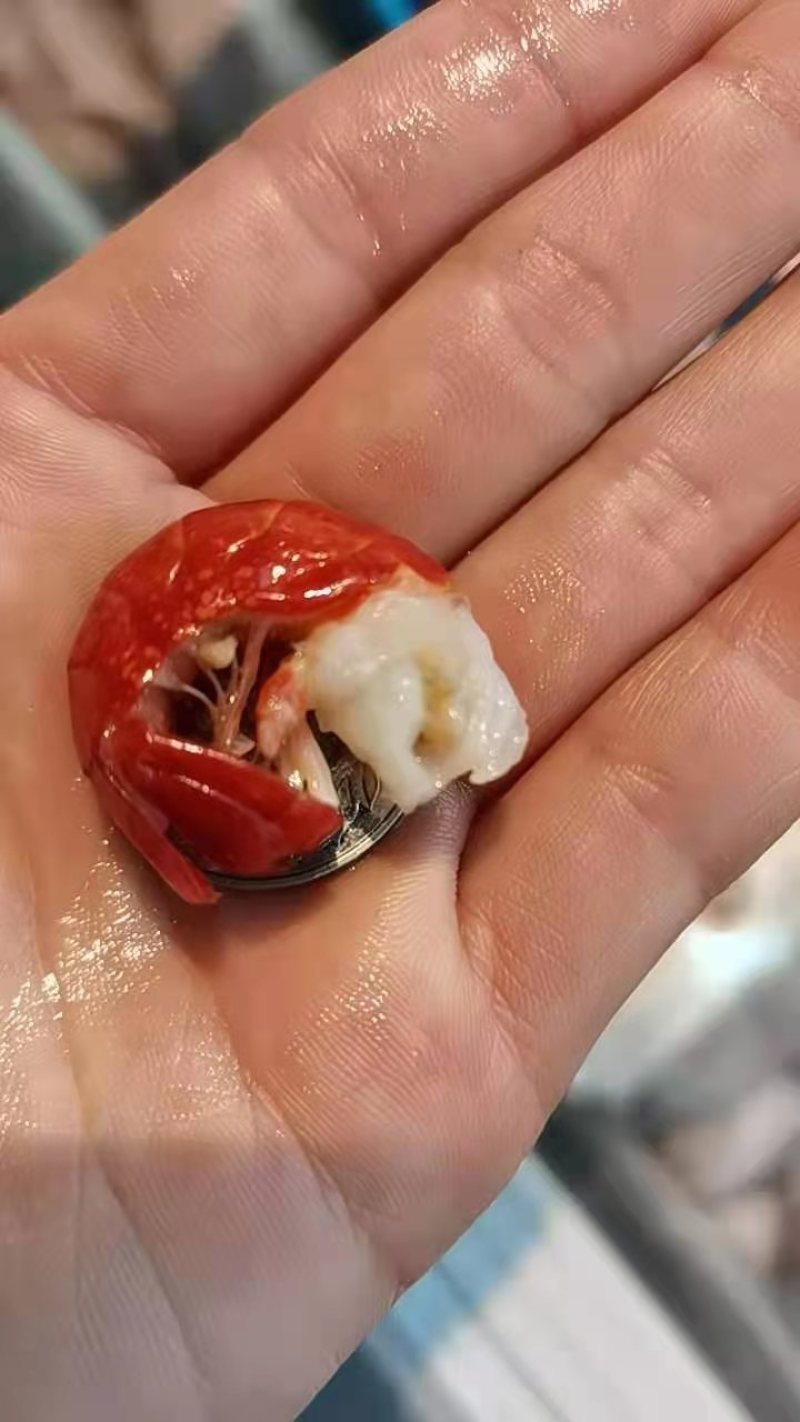 龙虾尾